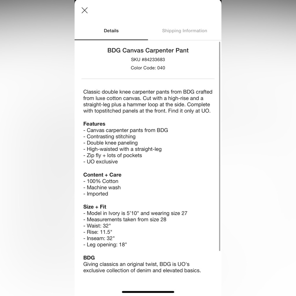 NWT | Urban Outfitters BDG | Canvas Carpenter Pant - Picture 10 of 10